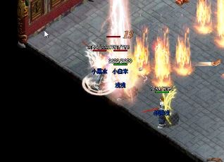 白野猪到底能不能爆出裁决