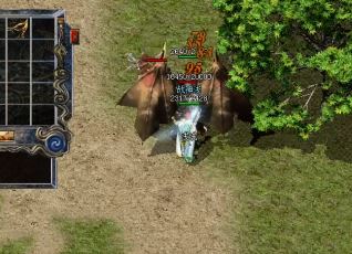 挑战魔虫窟boss能够得到35级技能书