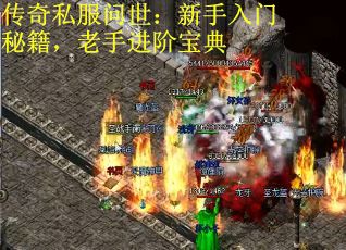 传奇私服问世：新手入门秘籍，老手进阶宝典