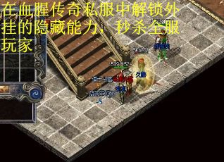 在血腥传奇私服中解锁外挂的隐藏能力，秒杀全服玩家