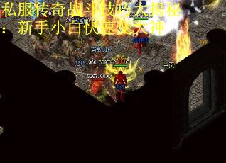 私服传奇战斗技巧大揭秘：新手小白快速变大神