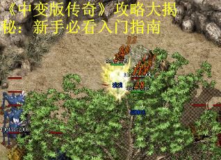 《中变版传奇》攻略大揭秘：新手必看入门指南