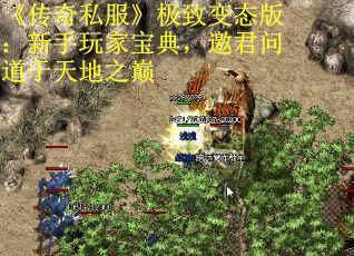 《传奇私服》极致变态版：新手玩家宝典，邀君问道于天地之巅