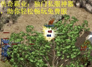 传奇霸业：独门私服神器，助你轻松畅玩免费服