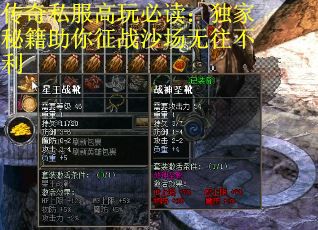 传奇私服高玩必读：独家秘籍助你征战沙场无往不利