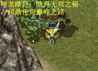 神龙皓月：皓月无双之秘，问鼎传奇巅峰之路