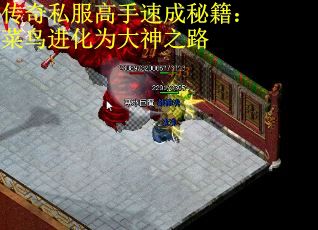 传奇私服高手速成秘籍：菜鸟进化为大神之路