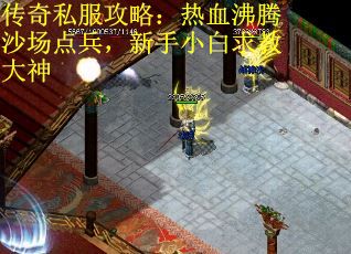 传奇私服攻略：热血沸腾沙场点兵，新手小白求教大神