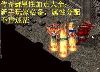 传奇sf属性加点大全:新手玩家必备,属性分配不再迷茫 传奇sf属性加点大全:新手玩家必备,属性分配不再迷茫