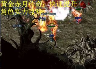 黄金赤月传奇：快速提升角色实力攻略