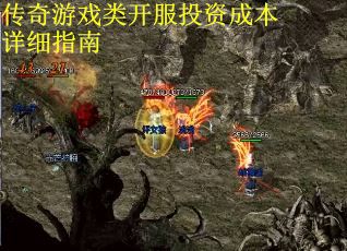 传奇游戏类开服投资成本详细指南