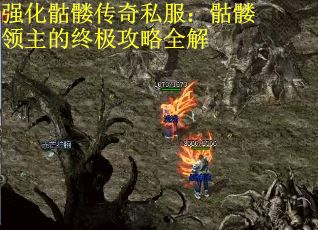 强化骷髅传奇私服：骷髅领主的终极攻略全解