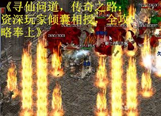 《寻仙问道,传奇之路:资深玩家倾囊相授,全攻略奉上》 《寻仙问道,传奇之路:资深玩家倾囊相授,全攻略奉上》