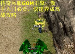 传奇私服GOM引擎：新手入门必看，快速养成高战攻略