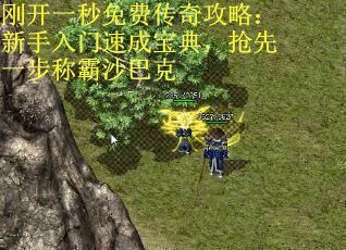 刚开一秒免费传奇攻略：新手入门速成宝典，抢先一步称霸沙巴克