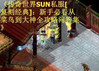 《传奇世界SUN私服[复刻经典]：新手必看从菜鸟到大神全攻略问答集》