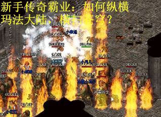 新手传奇霸业：如何纵横玛法大陆，横扫苍穹？