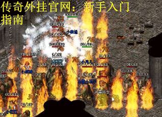 传奇外挂官网：新手入门指南