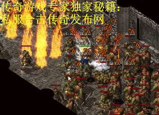 传奇游戏专家独家秘籍:私服合击传奇发布网 传奇游戏专家独家秘籍:私服合击传奇发布网