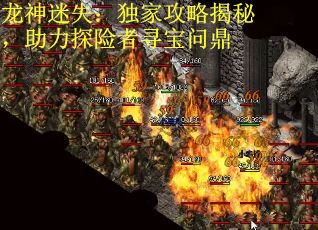 龙神迷失：独家攻略揭秘，助力探险者寻宝问鼎