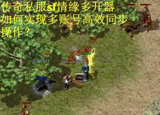 传奇私服sf情缘多开器如何实现多账号高效同步操作? 传奇私服sf情缘多开器如何实现多账号高效同步操作?