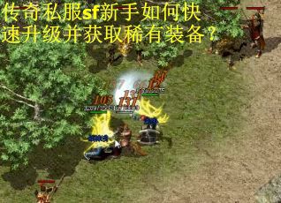 传奇私服sf新手如何快速升级并获取稀有装备？