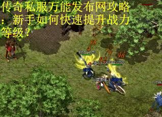 传奇私服万能发布网攻略：新手如何快速提升战力等级？