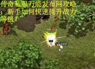 传奇私服万能发布网攻略:新手如何快速提升战力等级? 传奇私服万能发布网攻略:新手如何快速提升战力等级?