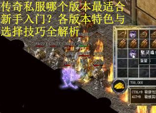 传奇私服哪个版本最适合新手入门？各版本特色与选择技巧全解析