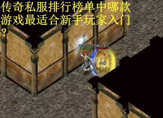 传奇私服排行榜单中哪款游戏最适合新手玩家入门? 传奇私服排行榜单中哪款游戏最适合新手玩家入门?