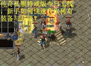 传奇私服特戒版今日上线，新手如何快速获取稀有装备与升级？