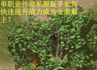 单职业传奇私服新手如何快速提升战力成为全服霸主? 单职业传奇私服新手如何快速提升战力成为全服霸主?
