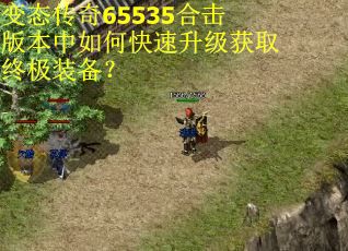 变态传奇65535合击版本中如何快速升级获取终极装备? 变态传奇65535合击版本中如何快速升级获取终极装备?