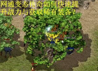 网通变态传奇如何快速提升战力与获取稀有装备？