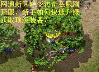 网通新区轻变传奇私服刚开服，新手如何快速升级获取顶级装备？