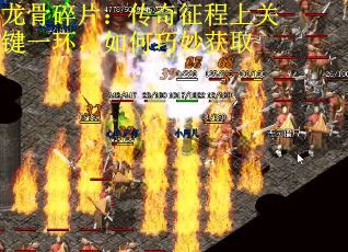 龙骨碎片：传奇征程上关键一环，如何巧妙获取