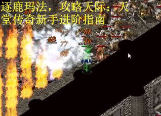 逐鹿玛法,攻略天际:天堂传奇新手进阶指南 逐鹿玛法,攻略天际:天堂传奇新手进阶指南