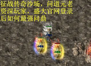 征战传奇沙场，问道元老资深玩家，盛大官网登录后如何最强问鼎