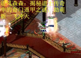 道风森森：揭秘道士传奇中的奇门遁甲之谜，助萌新一飞冲天