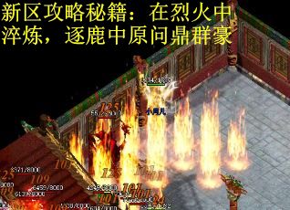 新区攻略秘籍:在烈火中淬炼,逐鹿中原问鼎群豪 新区攻略秘籍:在烈火中淬炼,逐鹿中原问鼎群豪