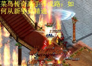 菜鸟传奇高手养成路：如何从新手到精通