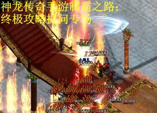 神龙传奇手游制霸之路：终极攻略提问专场