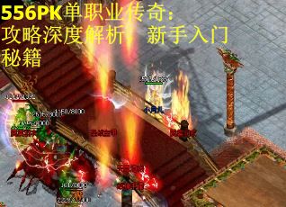 556PK单职业传奇：攻略深度解析，新手入门秘籍