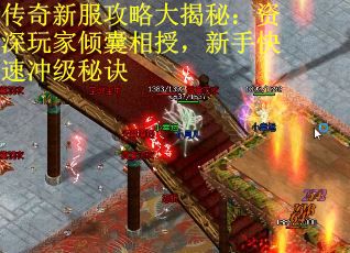 传奇新服攻略大揭秘：资深玩家倾囊相授，新手快速冲级秘诀