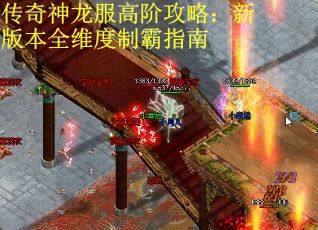 传奇神龙服高阶攻略：新版本全维度制霸指南