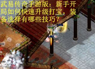 武易传奇手游版：新手开局如何快速升级打宝，装备选择有哪些技巧？