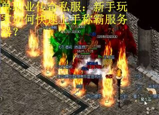 单职业传奇私服:新手玩家如何快速上手称霸服务器? 单职业传奇私服:新手玩家如何快速上手称霸服务器?