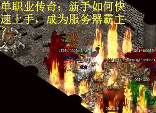 单职业传奇:新手如何快速上手,成为服务器霸主? 单职业传奇:新手如何快速上手,成为服务器霸主?