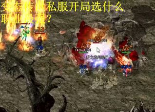 变态传世私服开局选什么职业最强? 变态传世私服开局选什么职业最强?