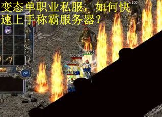 变态单职业私服，如何快速上手称霸服务器？